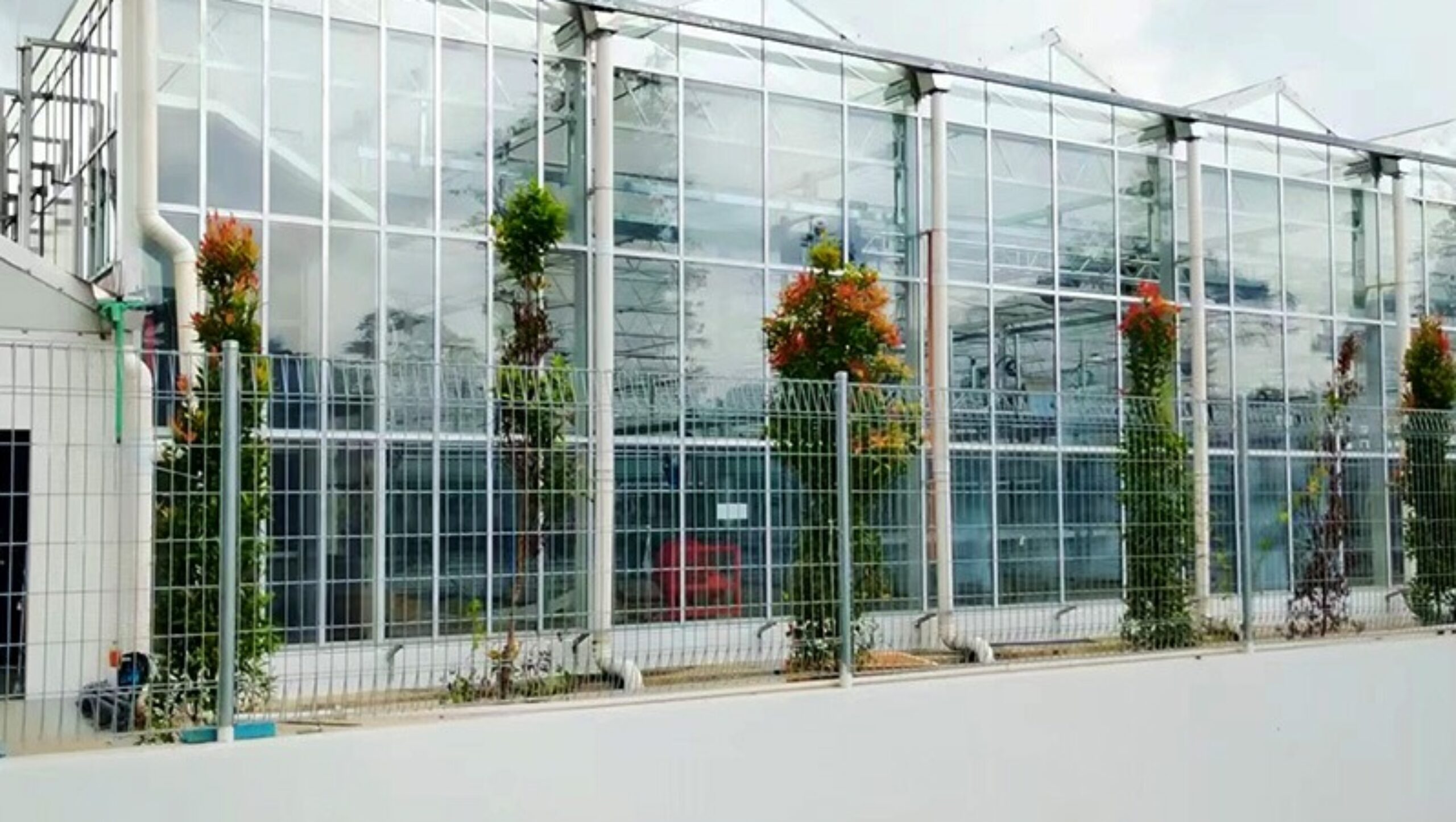 (Suitable for Special Crops) High-Safety Environmental Control Commercial Semi-Closed Multi-Span