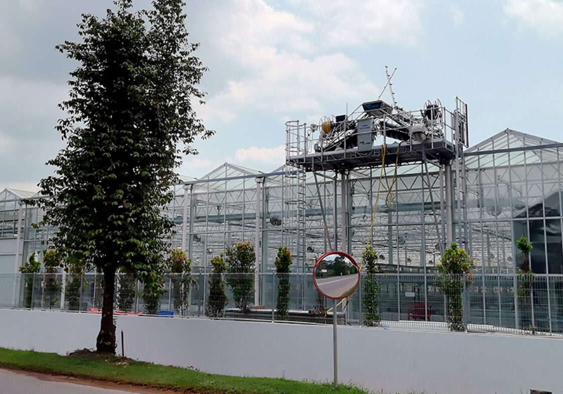 (Suitable for Special Crops) High-Safety Environmental Control Commercial Semi-Closed Multi-Span