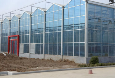 Sustainable Venlo Style Greenhouse Utilizing Energy Materials and Renewable Energy Systems Supporting