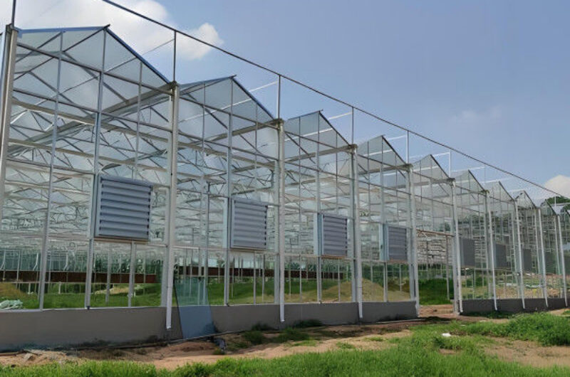 Sustainable Venlo Style Greenhouse Utilizing Energy Materials and Renewable Energy Systems Supporting