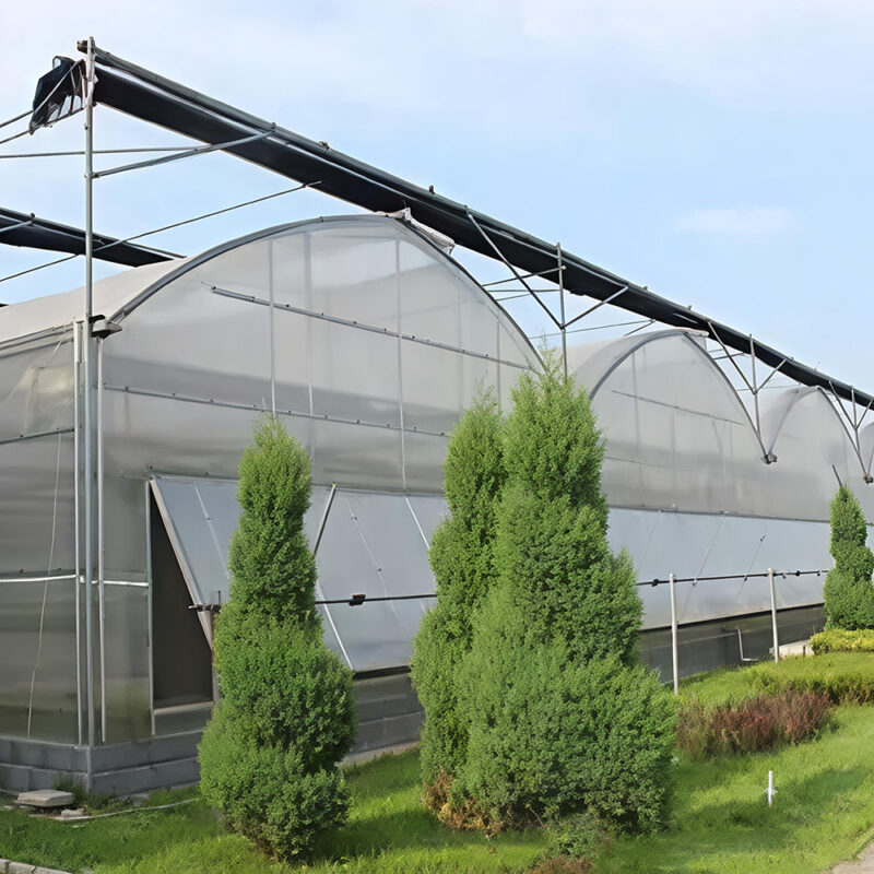 The Gothic greenhouse originally used for agricultural product cultivation in the factory is equipped