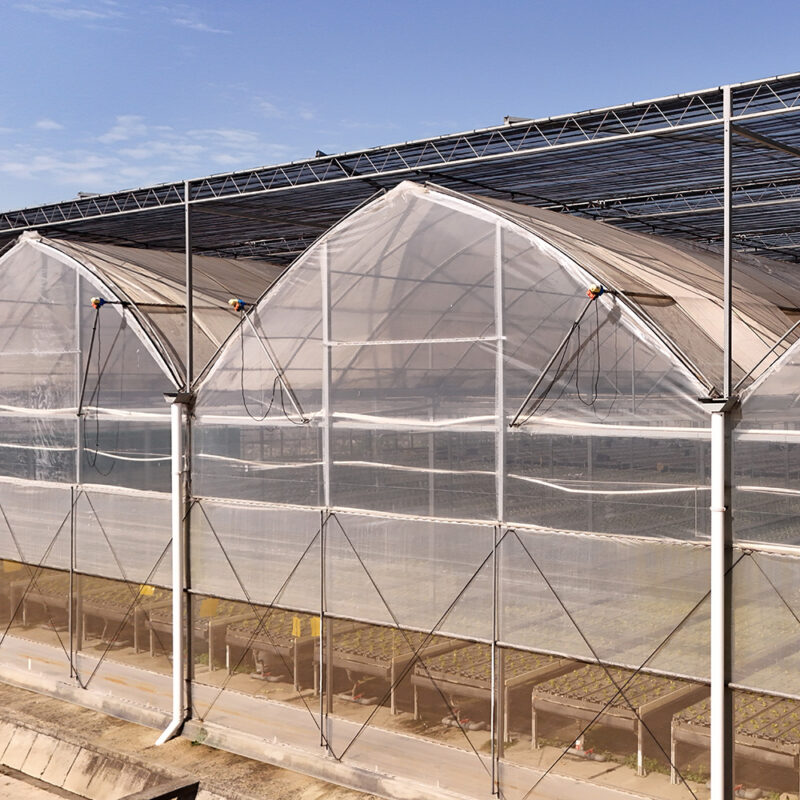 The Gothic greenhouse originally used for agricultural product cultivation in the factory is equipped