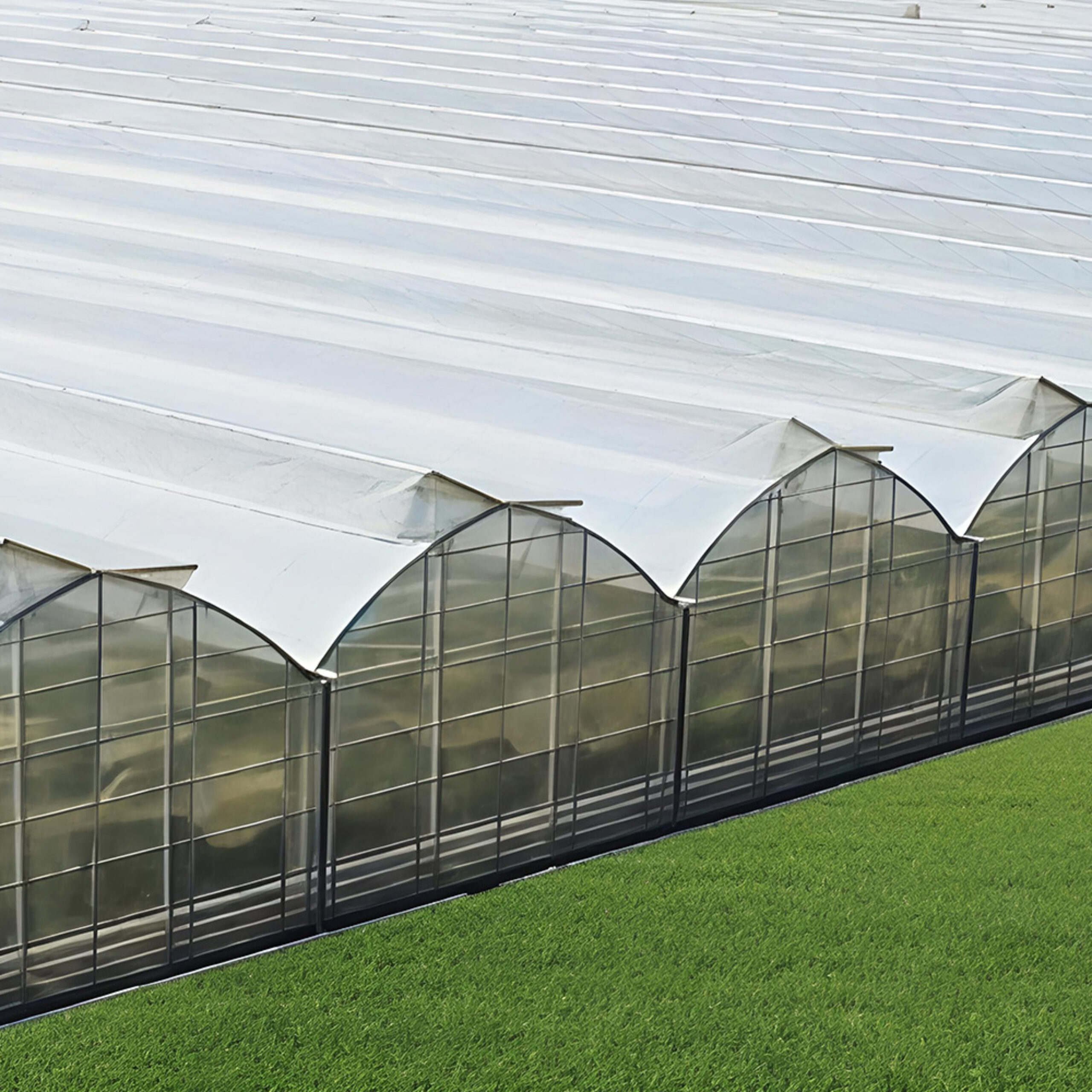 The Gothic greenhouse originally used for agricultural product cultivation in the factory is equipped