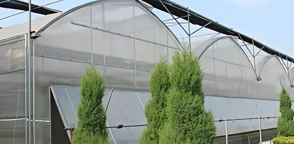 The Gothic greenhouse originally used for agricultural product cultivation in the factory is equipped