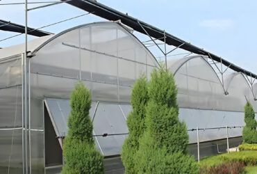 The Gothic greenhouse originally used for agricultural product cultivation in the factory is equipped