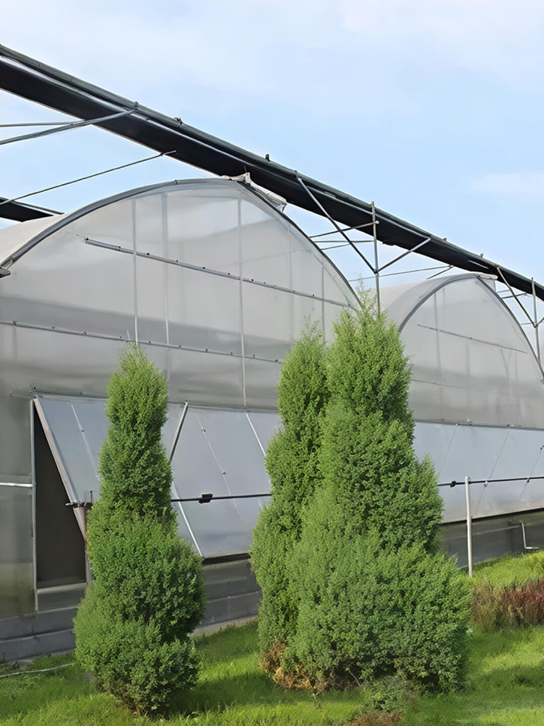 The Gothic greenhouse originally used for agricultural product cultivation in the factory is equipped
