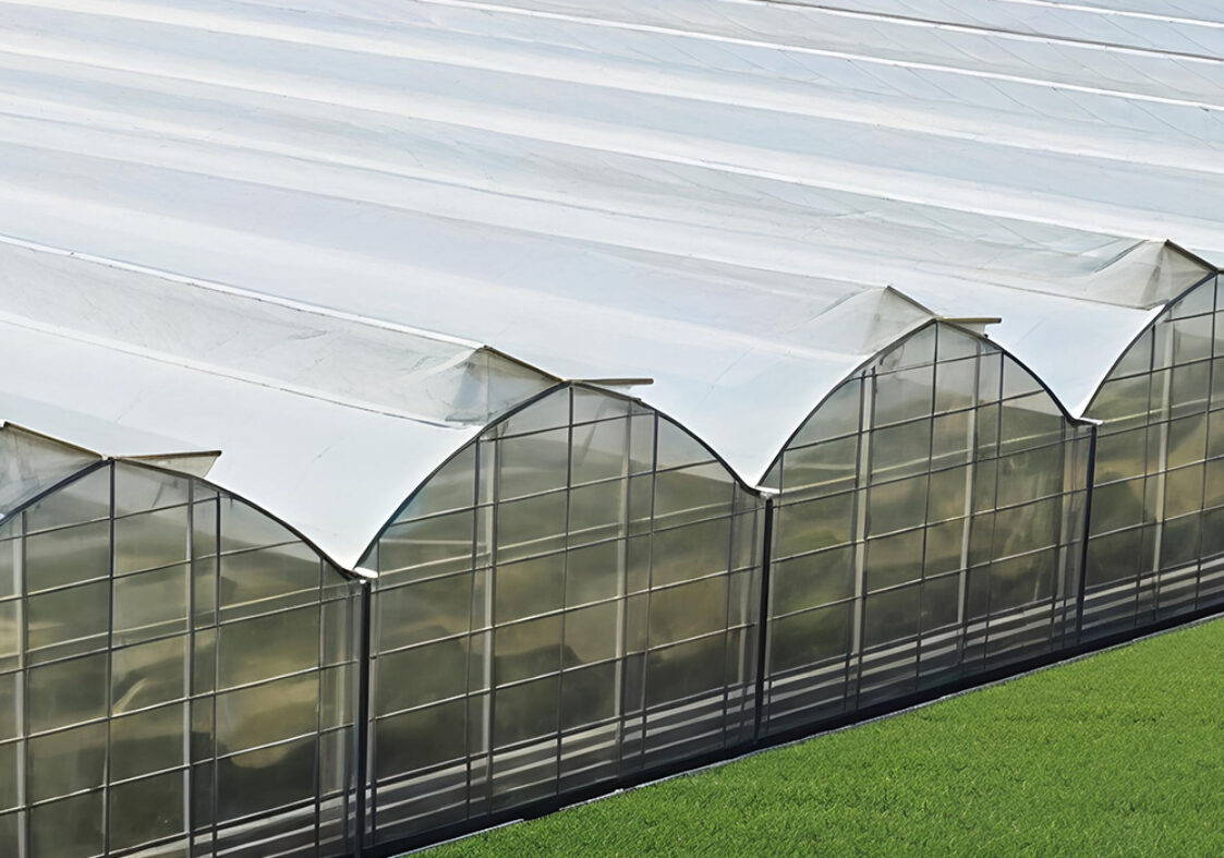 The Gothic greenhouse originally used for agricultural product cultivation in the factory is equipped