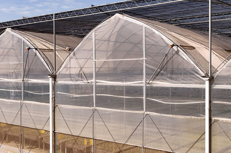 The Gothic greenhouse originally used for agricultural product cultivation in the factory is equipped