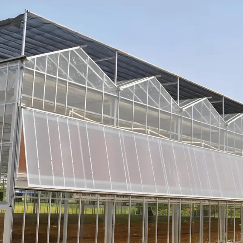 The new generation Venlo Glass greenhouse from is equipped with a brand new high transparency and diffuse
