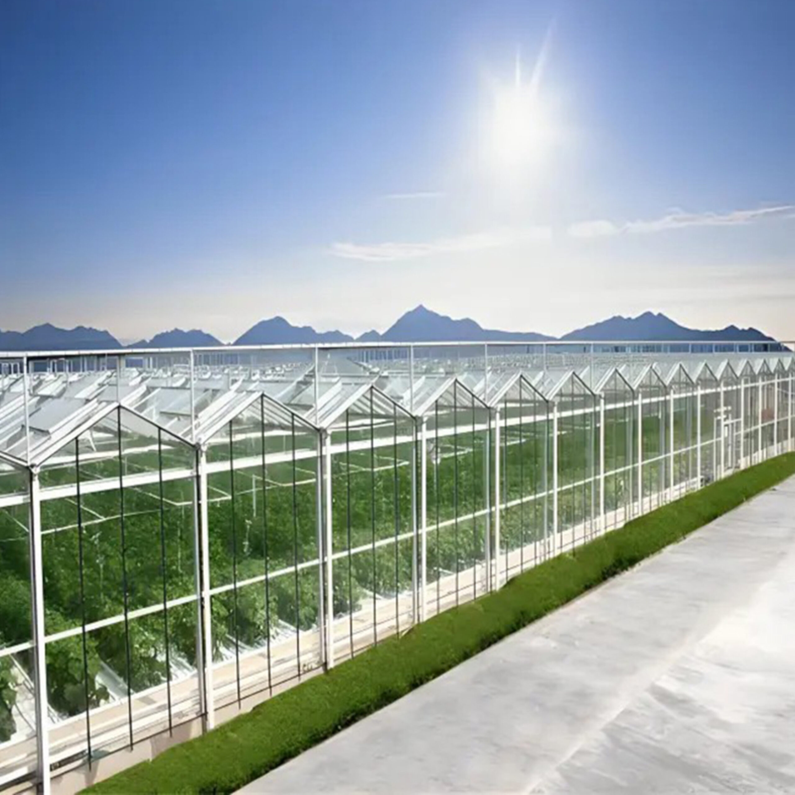 The new generation Venlo Glass greenhouse from is equipped with a brand new high transparency and diffuse