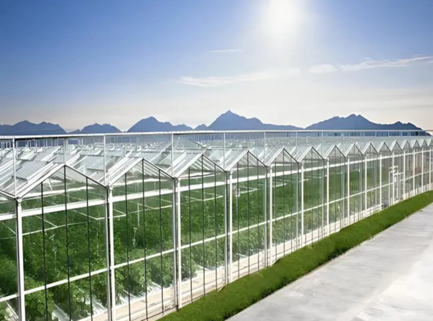 The new generation Venlo Glass greenhouse from is equipped with a brand new high transparency and diffuse