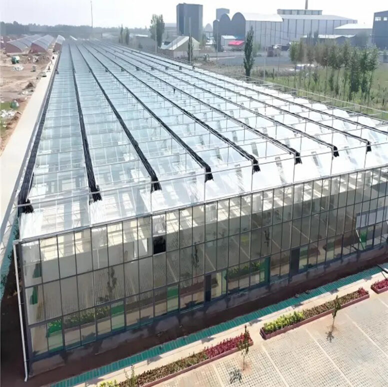 The new generation Venlo Glass greenhouse from is equipped with a brand new high transparency and diffuse