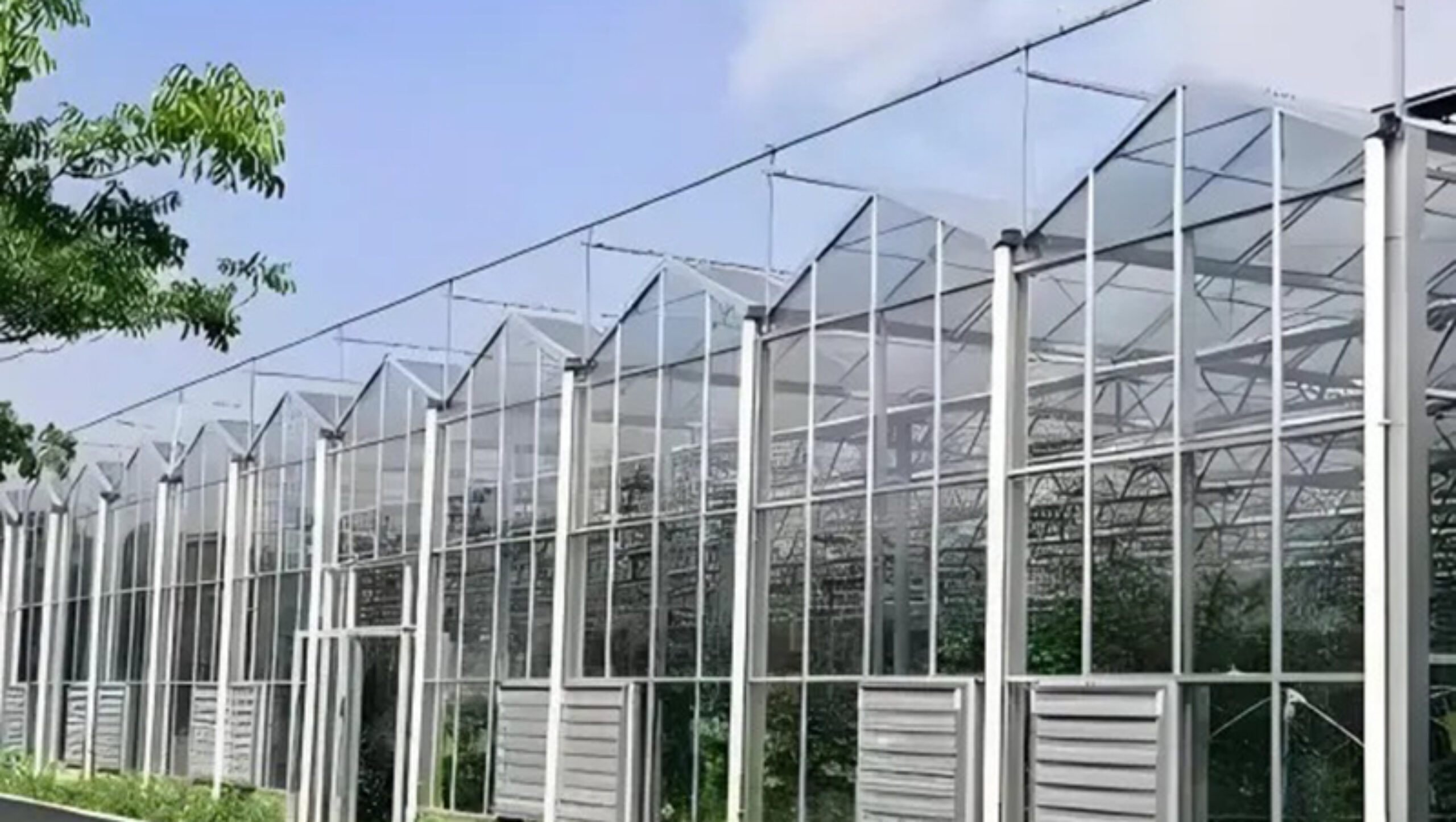 The new generation Venlo Glass greenhouse from is equipped with a brand new high transparency and diffuse