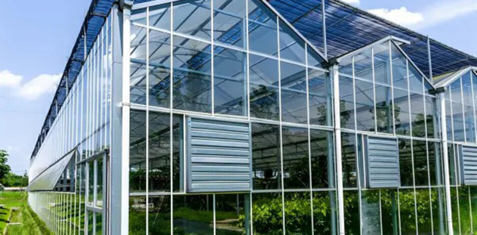 The Venlo Glass greenhouse originally used for agricultural product cultivation in the factory is