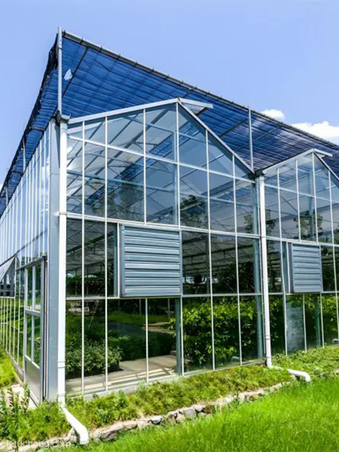 The Venlo Glass greenhouse originally used for agricultural product cultivation in the factory is