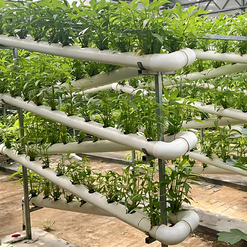 The Vertical Hydroponic Greenhouse adopts a multi-layer three-dimensional cultivation frame, compatible