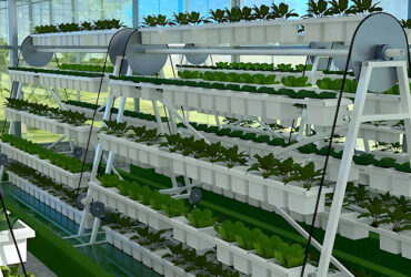 The Vertical Hydroponic Greenhouse adopts a multi-layer three-dimensional cultivation frame, compatible