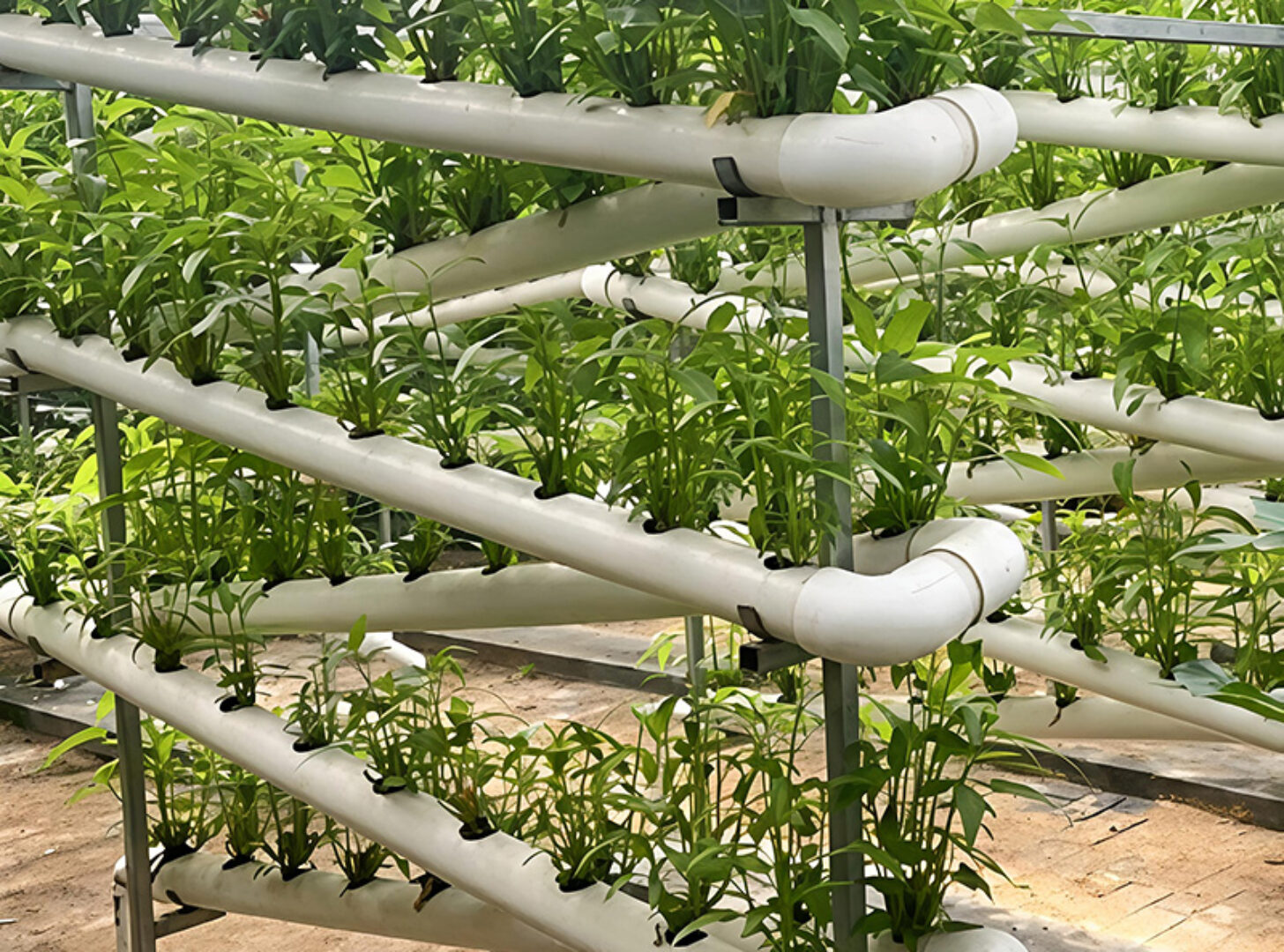 The Vertical Hydroponic Greenhouse adopts a multi-layer three-dimensional cultivation frame, compatible