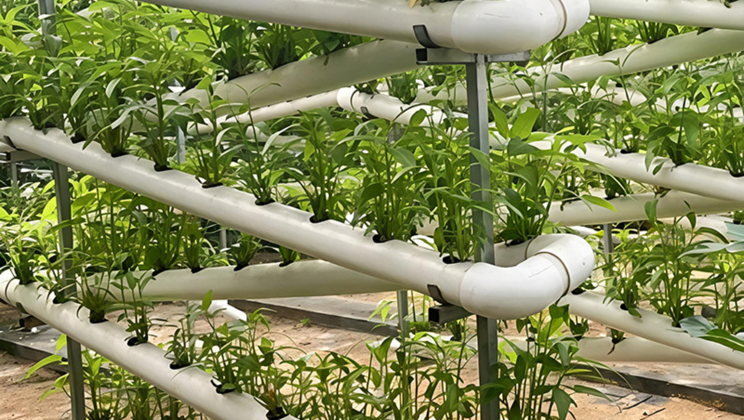 The Vertical Hydroponic Greenhouse adopts a multi-layer three-dimensional cultivation frame, compatible