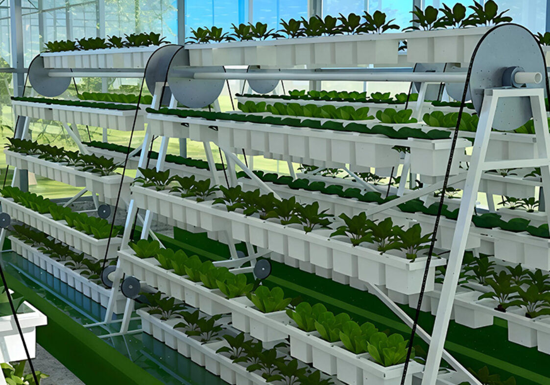 The Vertical Hydroponic Greenhouse adopts a multi-layer three-dimensional cultivation frame, compatible