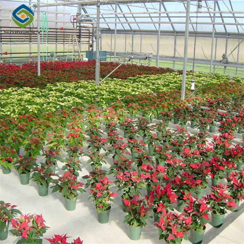 Toughened Clear Glass Flower Greenhouse Customized With Automatic Systems
