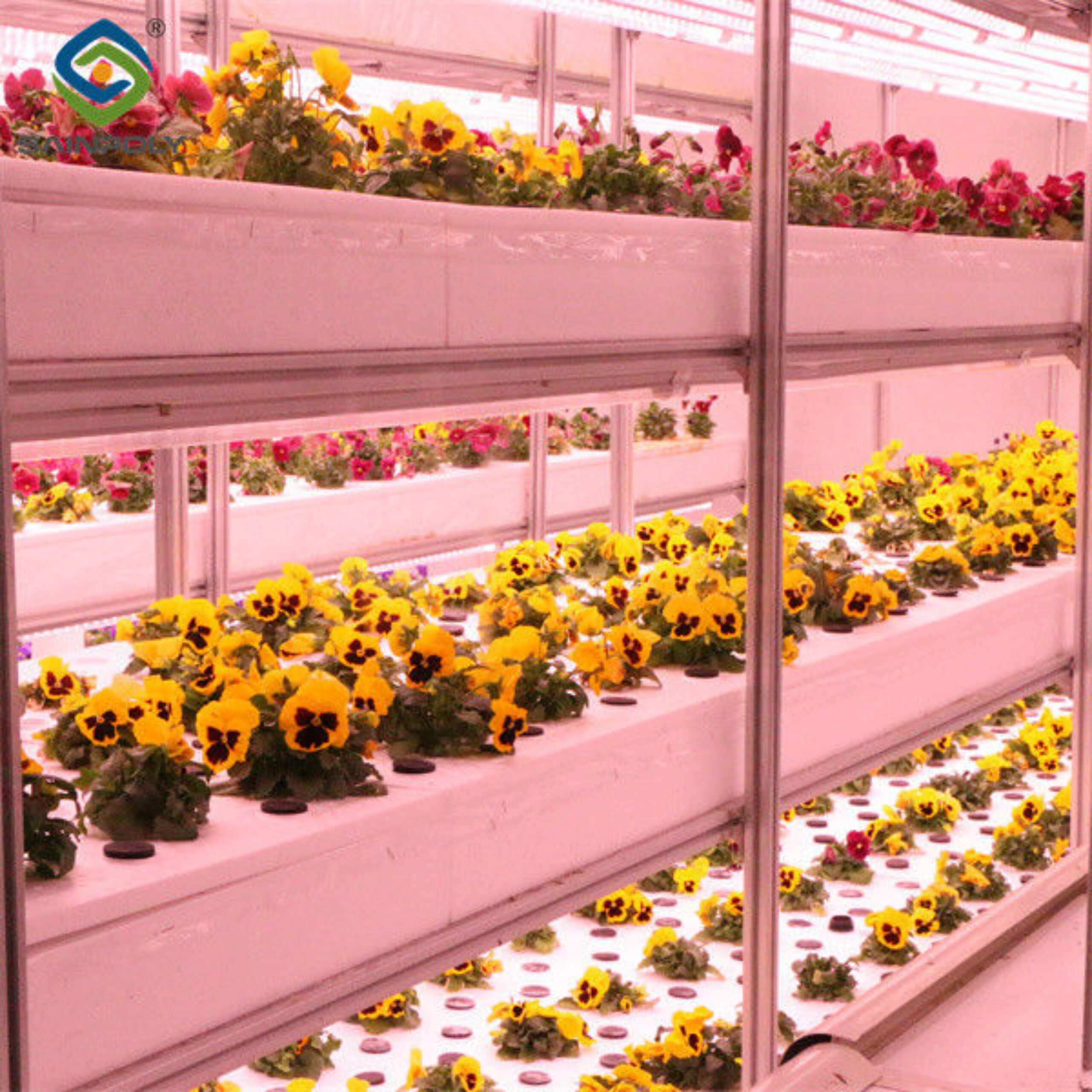 Toughened Clear Glass Flower Greenhouse Customized With Automatic Systems