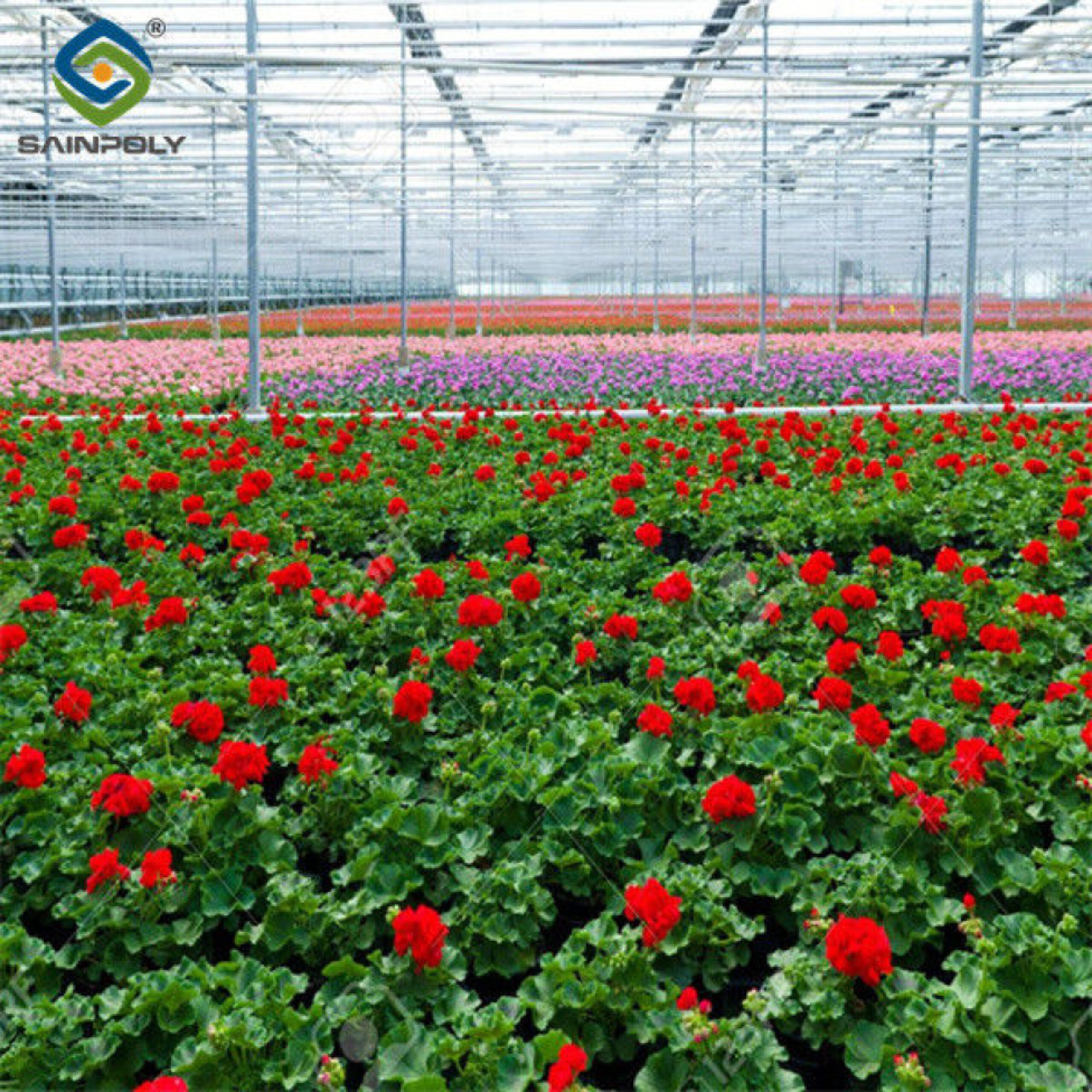 Toughened Clear Glass Flower Greenhouse Customized With Automatic Systems