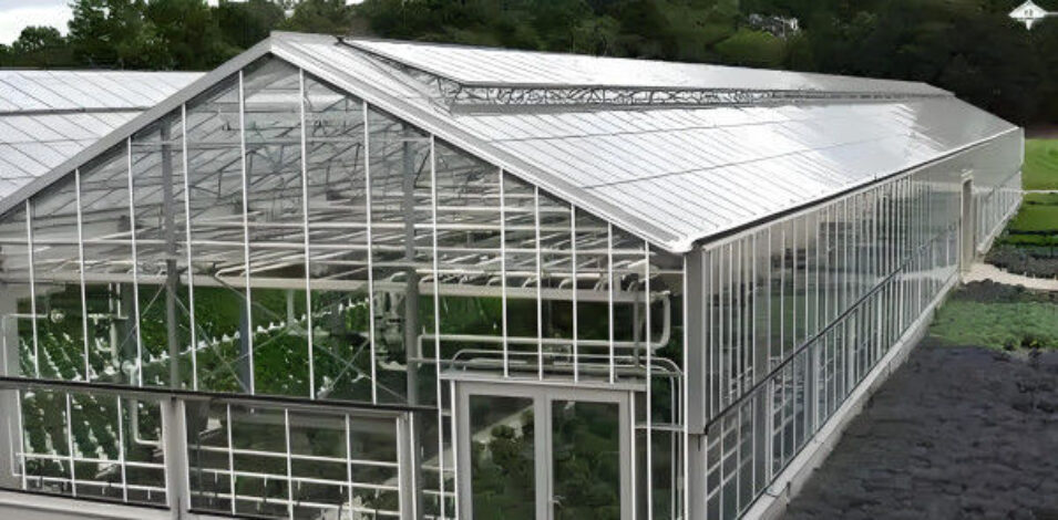 Tropical Multispan Agriculture Greenhouses Industrial Victorian Greenhouse