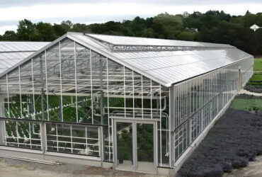 Tropical Multispan Agriculture Greenhouses Industrial Victorian Greenhouse