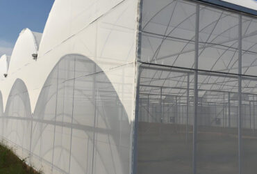 Tropical Multispan Agriculture Greenhouses Industrial Victorian Greenhouse