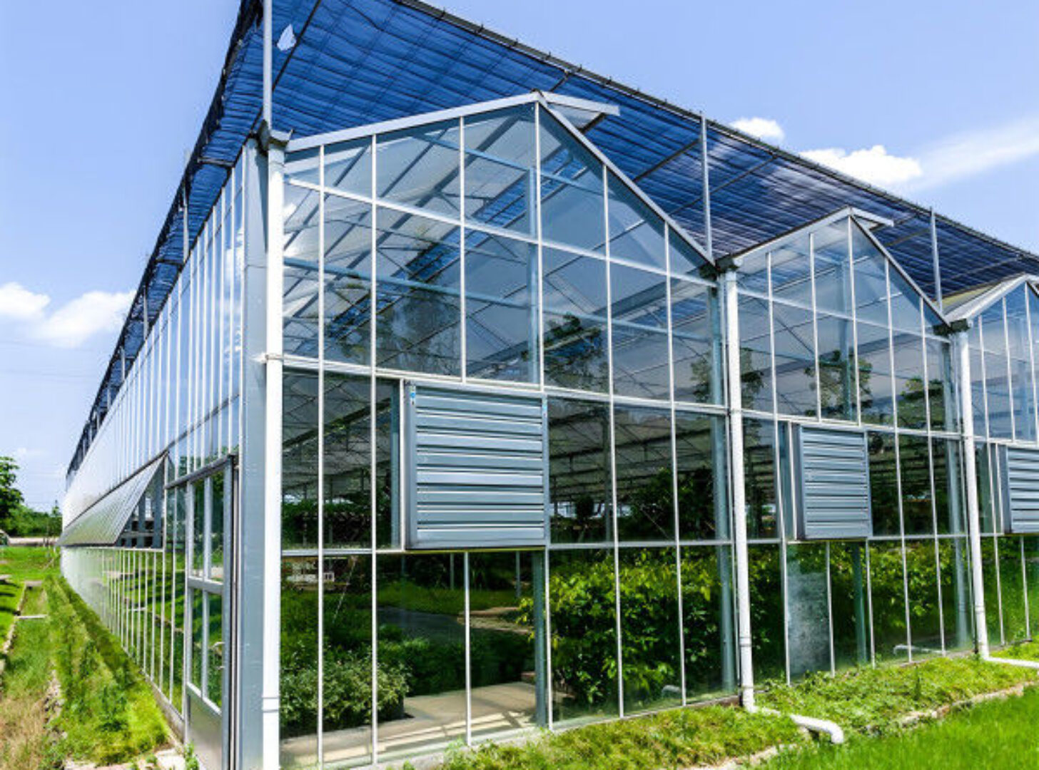 Tropical Multispan Agriculture Greenhouses Industrial Victorian Greenhouse