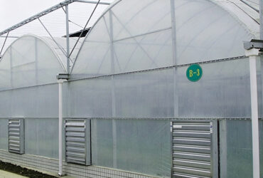 Tropical Plastic Film Greenhouse UV2792 AD