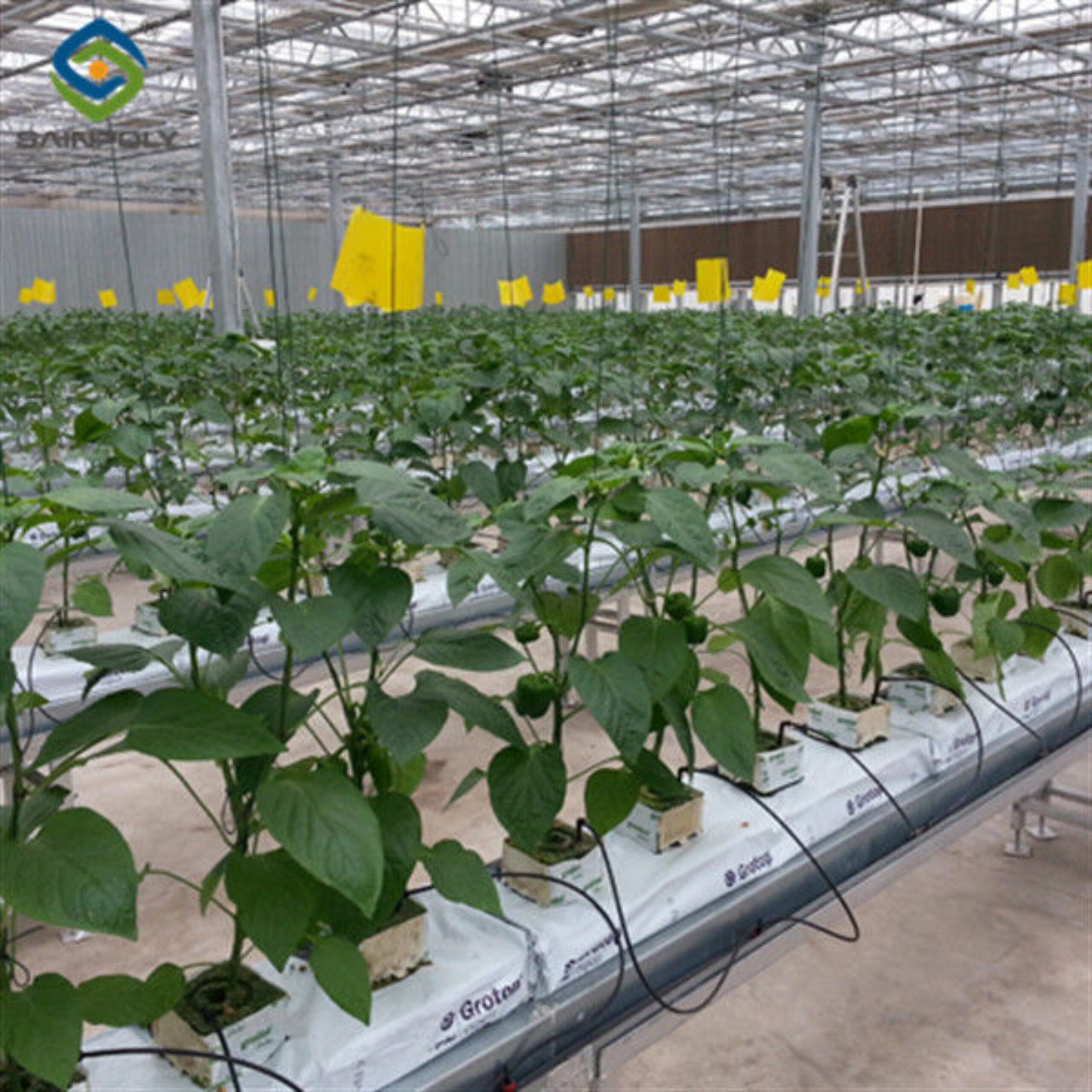 Turnkey Project Multi Span Commercial Hydroponic Greenhouse Waterproofing