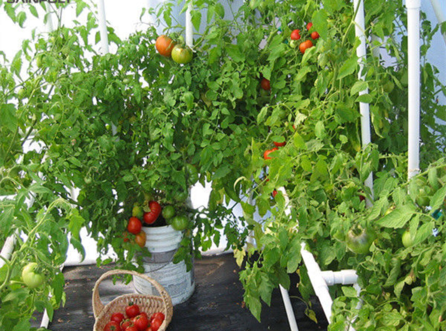 Turnkey Project Multi Span Commercial Hydroponic Greenhouse Waterproofing