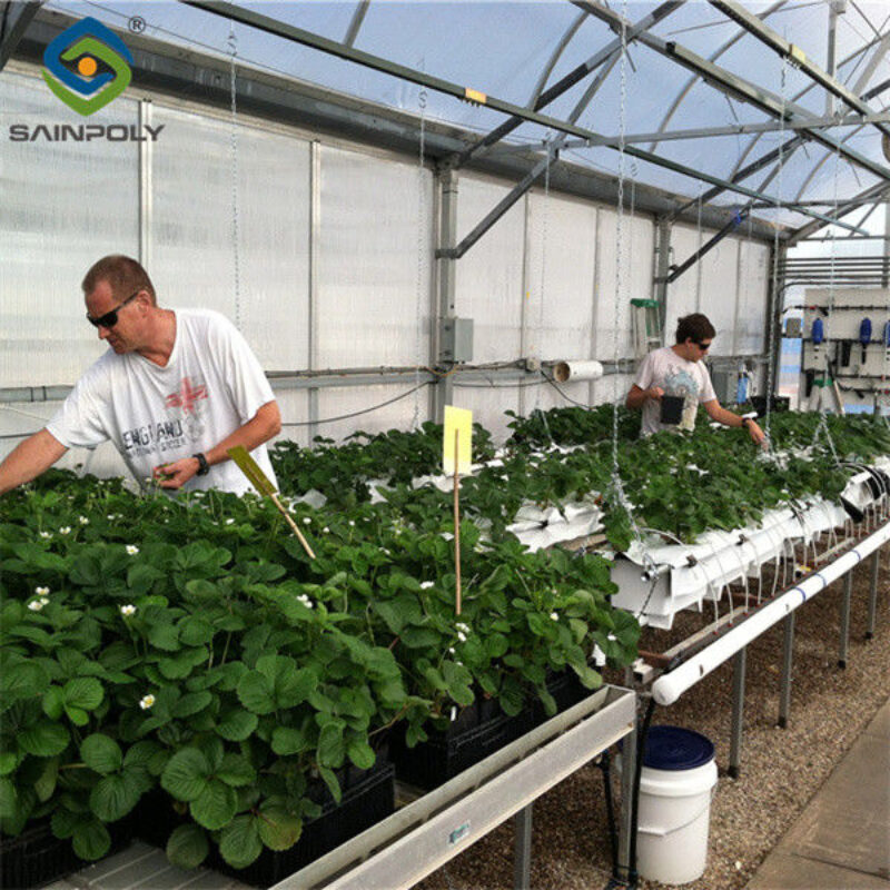 Ultraviolet Proof Double Film Strawberry Green House Large Size
