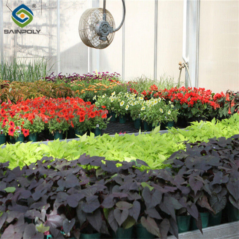 Uv Protection Transparent Flower Garden Greenhouse Easy To Assemble