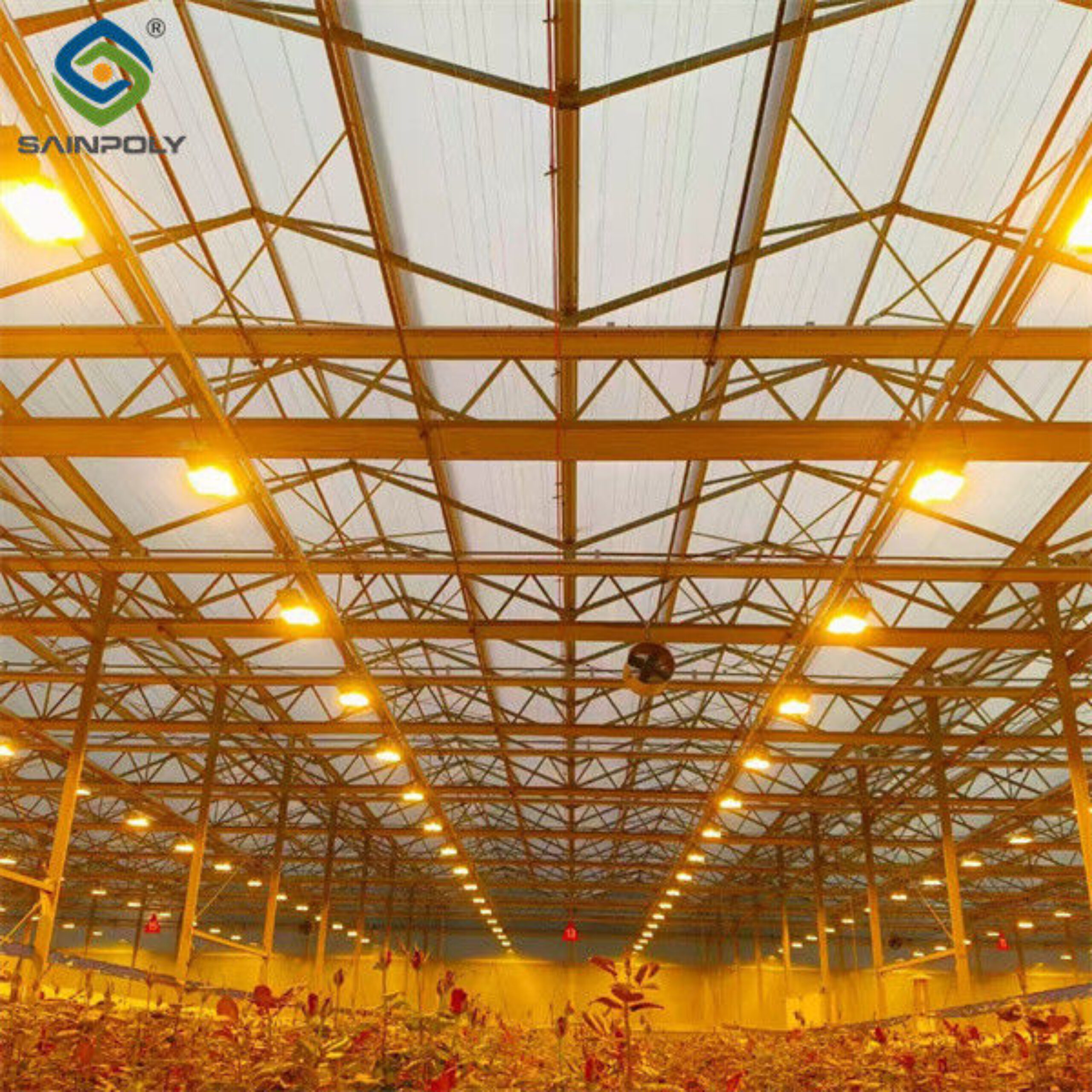 Uv Protection Transparent Flower Garden Greenhouse Easy To Assemble
