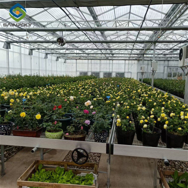 UV Resistant Mutli Span Flower Greenhouse Venlo Arch Type Waterproof