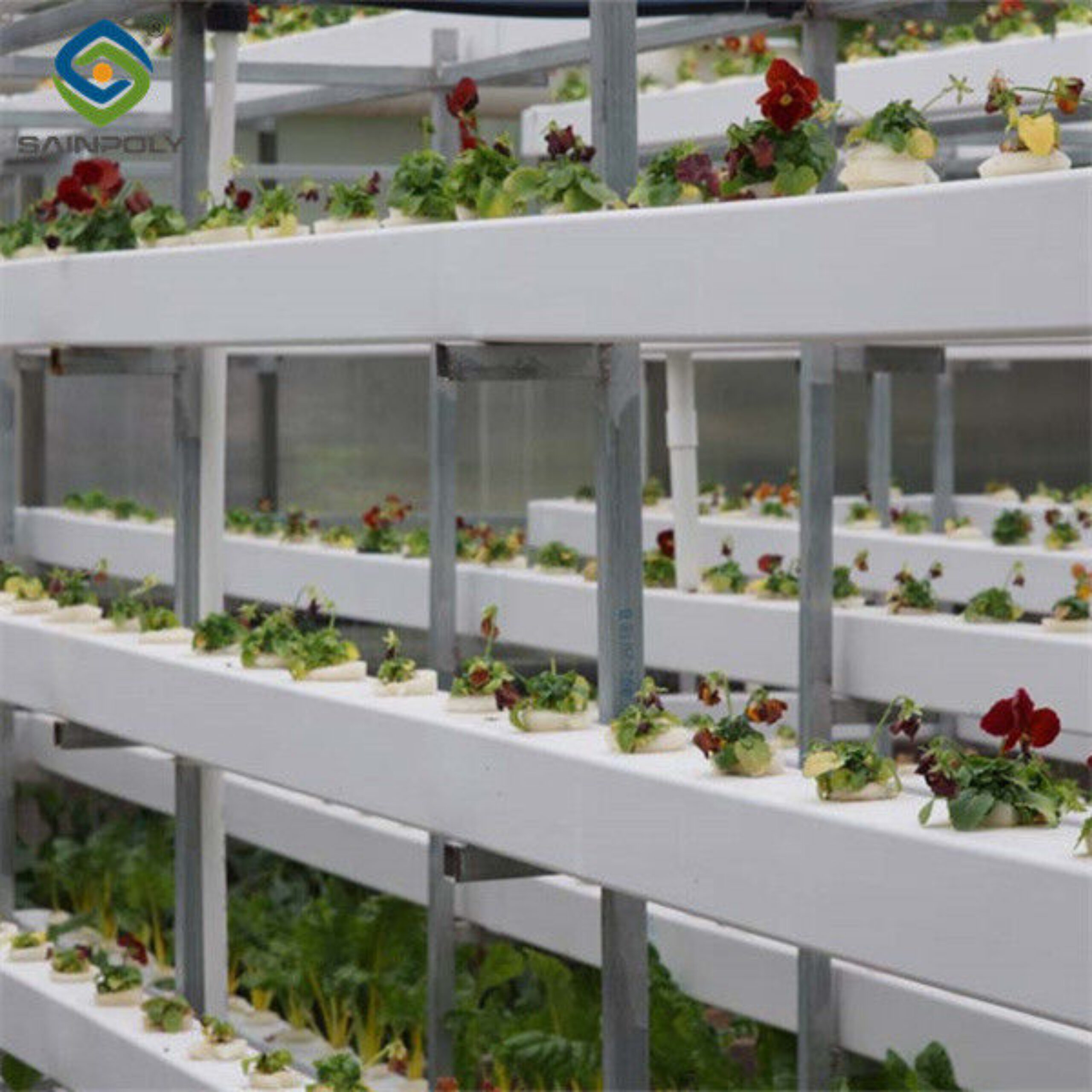 UV Resistant Mutli Span Flower Greenhouse Venlo Arch Type Waterproof