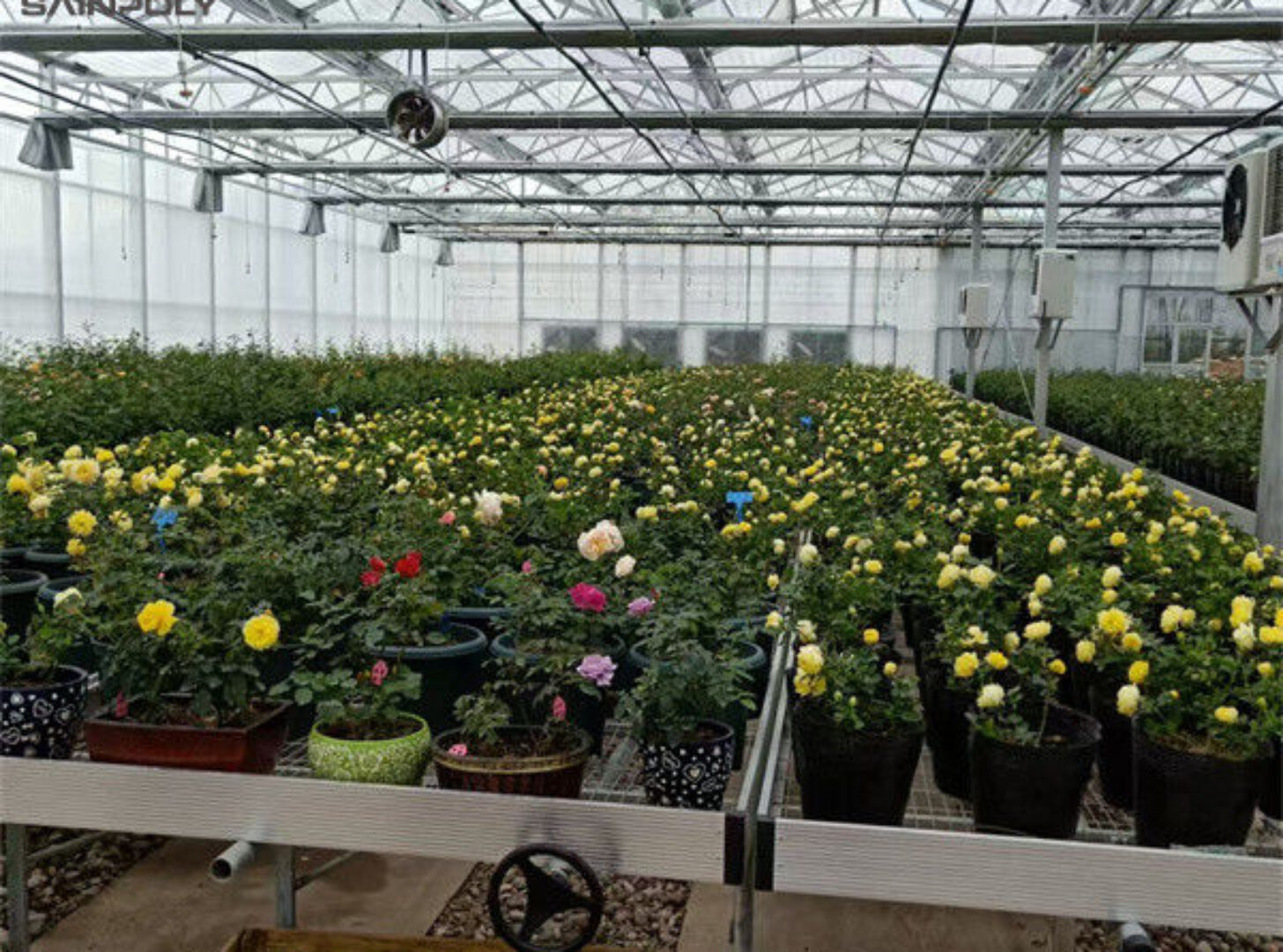 UV Resistant Mutli Span Flower Greenhouse Venlo Arch Type Waterproof