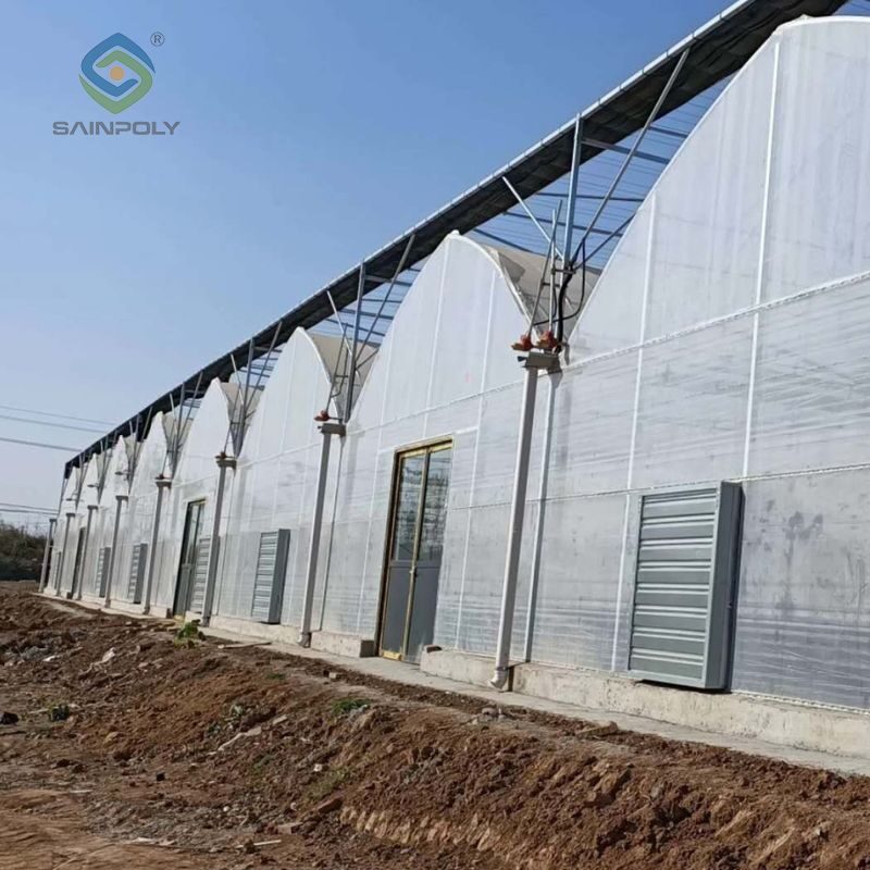 Vegetable Cultivation Film Greenhouse EG-D-4536A6