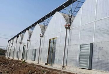 Vegetable Cultivation Film Greenhouse EG-D-4536A6