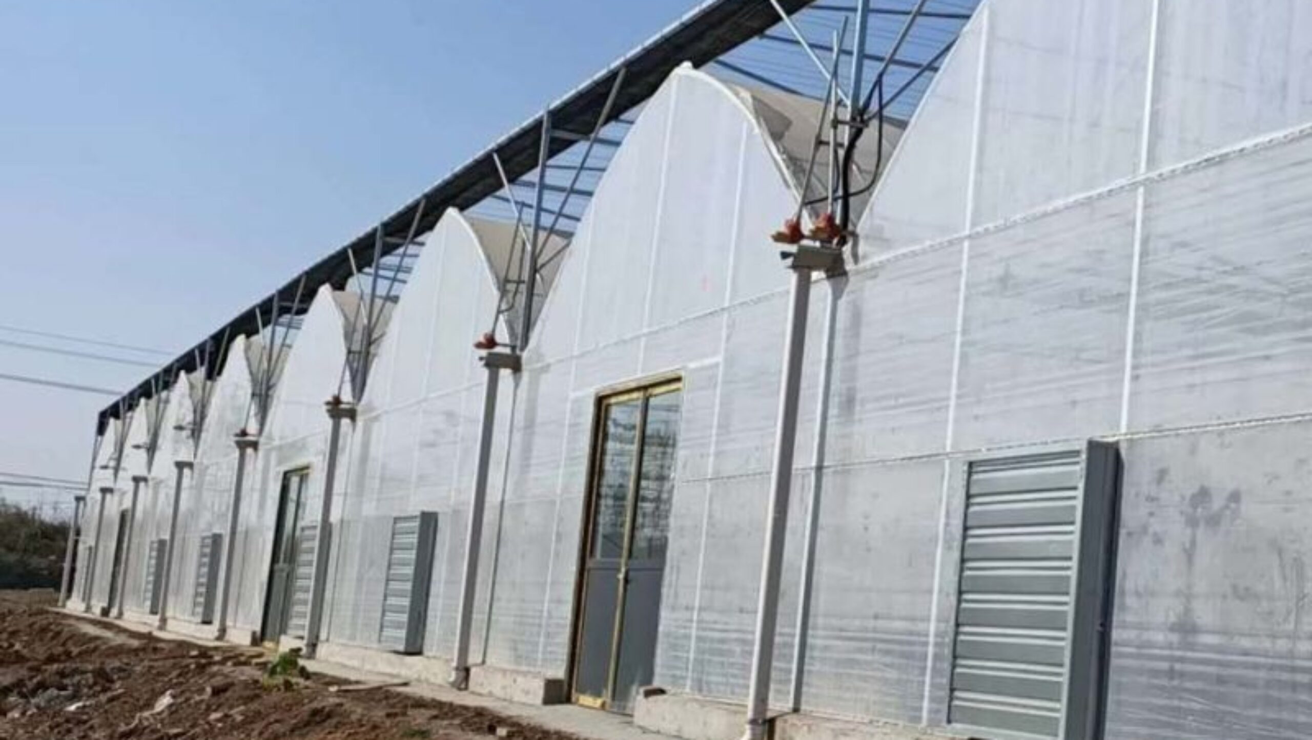 Vegetable Cultivation Film Greenhouse EG-D-4536A6