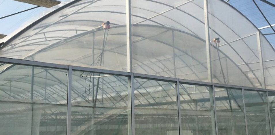 Vegetable Cultivation Film Greenhouse EG-D-8FE93A