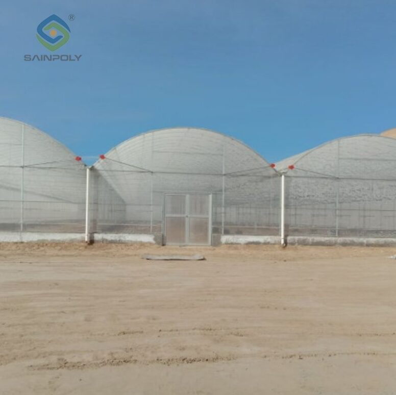 Vegetable Cultivation Film Greenhouse EG-D-8FE93A