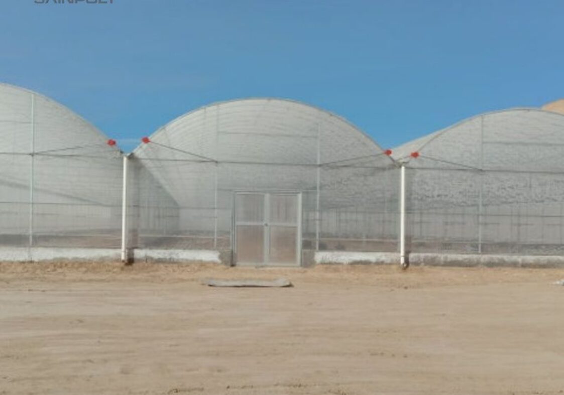 Vegetable Cultivation Film Greenhouse EG-D-8FE93A