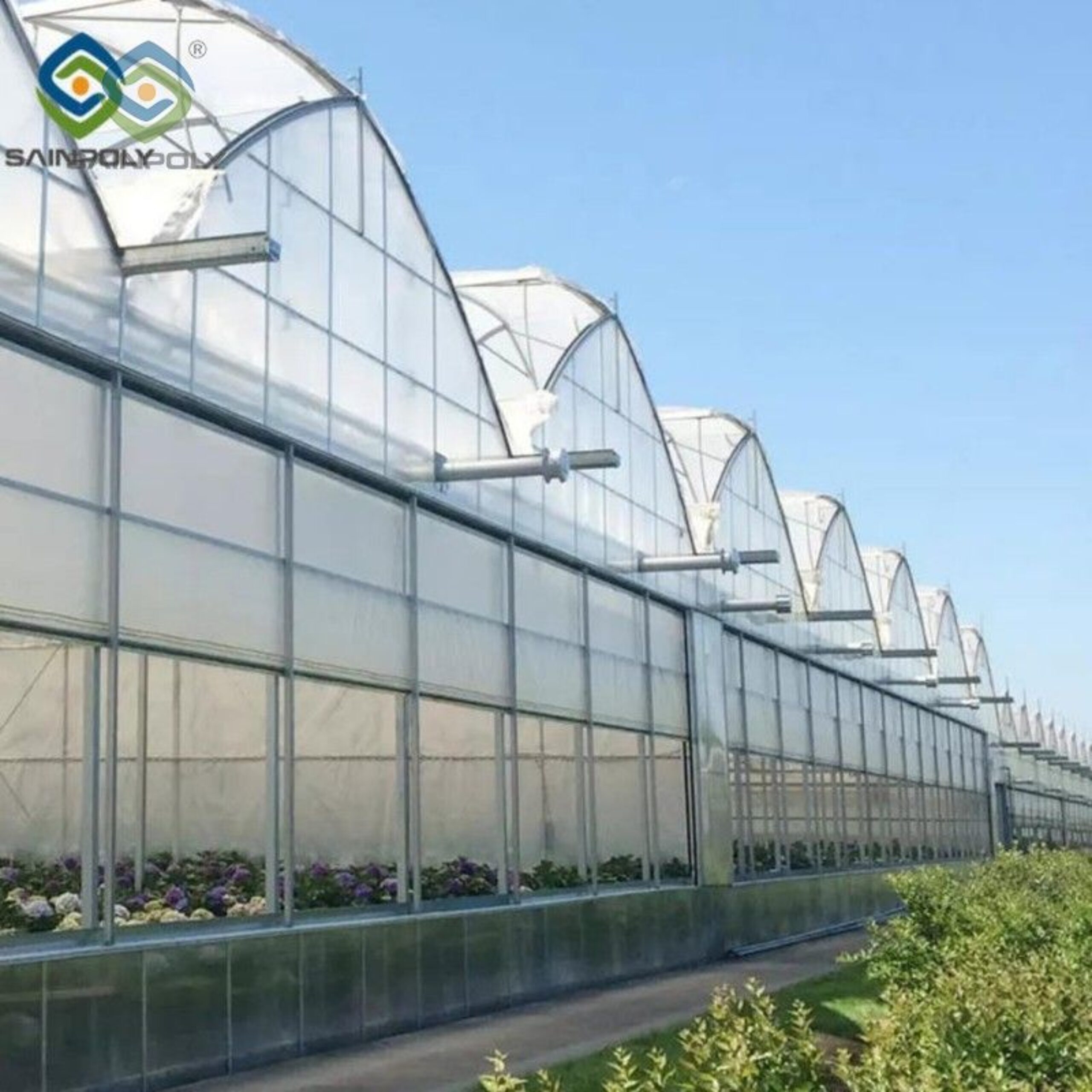 Vegetable Cultivation Film Greenhouse EG-D-9D7C7F
