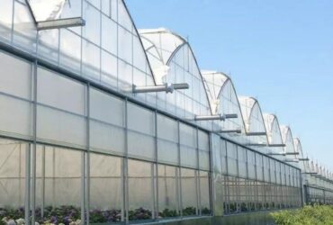 Vegetable Cultivation Film Greenhouse EG-D-9D7C7F