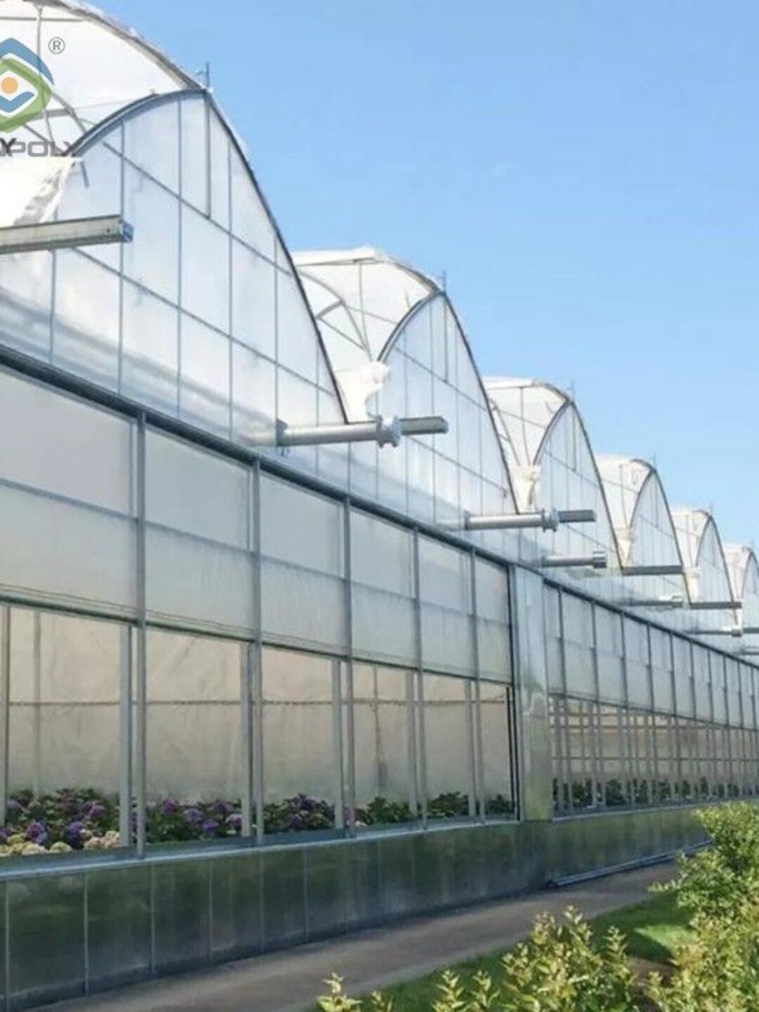 Vegetable Cultivation Film Greenhouse EG-D-9D7C7F