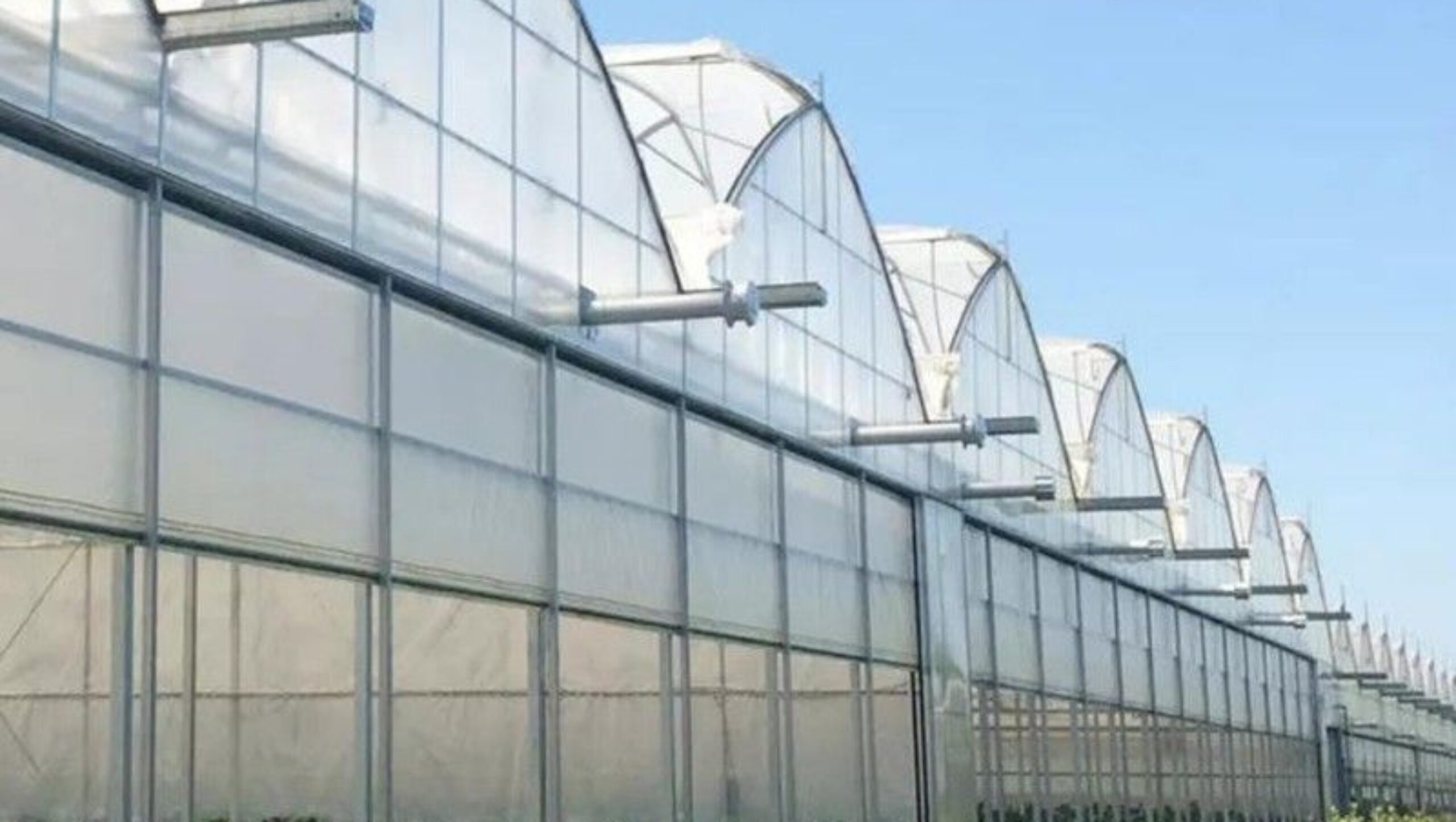 Vegetable Cultivation Film Greenhouse EG-D-9D7C7F